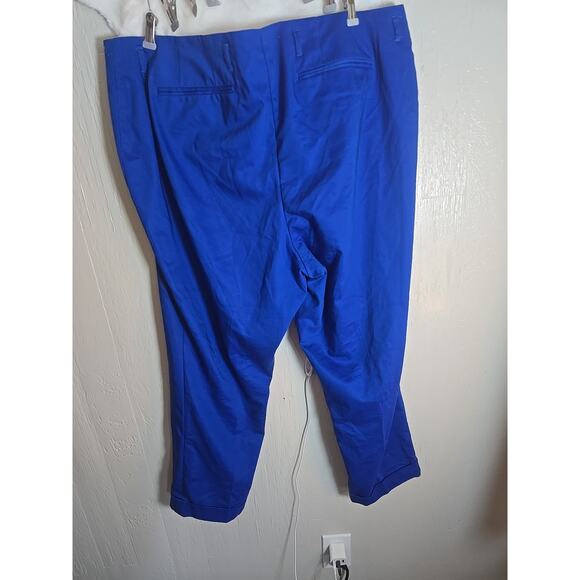 Lane Bryant Womens Blue Double Buttons Pockets Casual Pants Size 22 - Picture 6 of 7